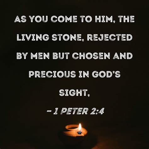 1 peter 2 kjv|2 peter summary and meaning.
